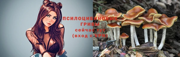 ALPHA-PVP Горно-Алтайск