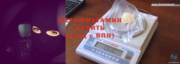 ПСИЛОЦИБИНОВЫЕ ГРИБЫ Дмитриев