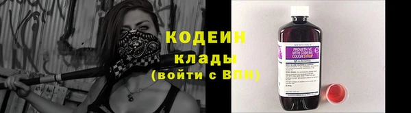 стаф Дмитровск