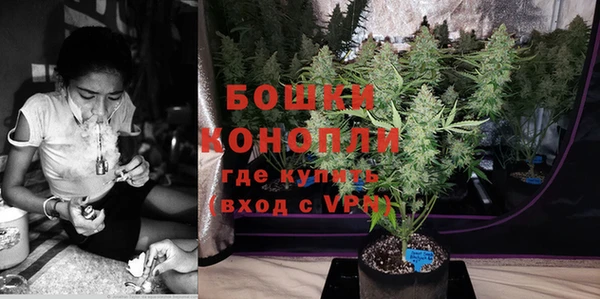 ешки Гусиноозёрск