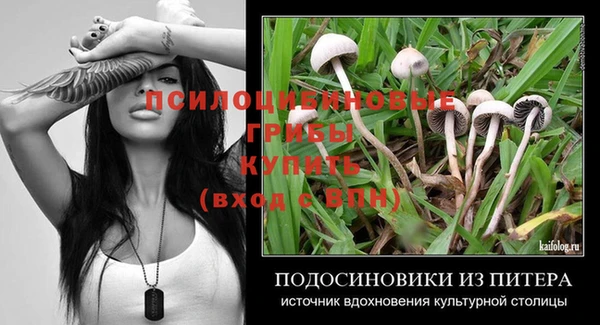 трава Гусь-Хрустальный