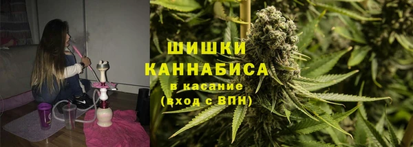ПСИЛОЦИБИНОВЫЕ ГРИБЫ Дмитриев