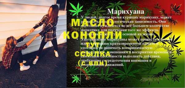 СК Дмитров
